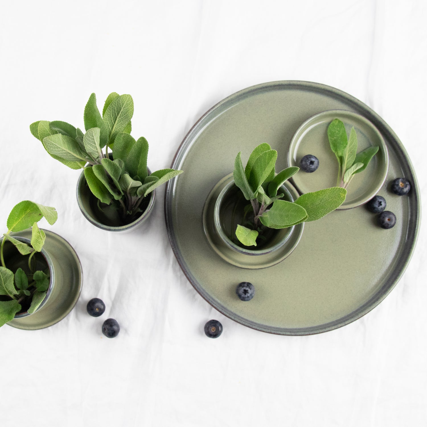 Becher salvia